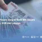 Cara Pinjam Uang di Bank BRI Secara Online, KUR dan Lainnya